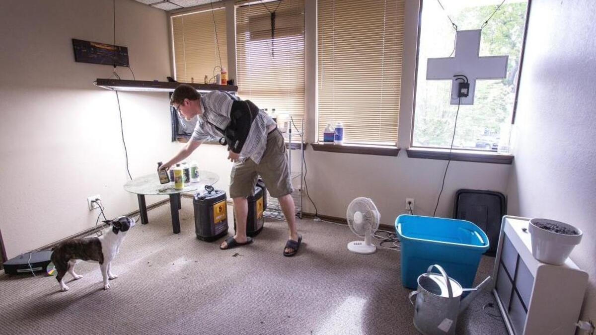 “It feels like doomsday,” said Old Towne Herbalist owner Robert Woodmark, 25, while cleaning up the now-empty live plant room at his medical marijuana dispensary at 402 Tacoma Ave. S. on Friday.