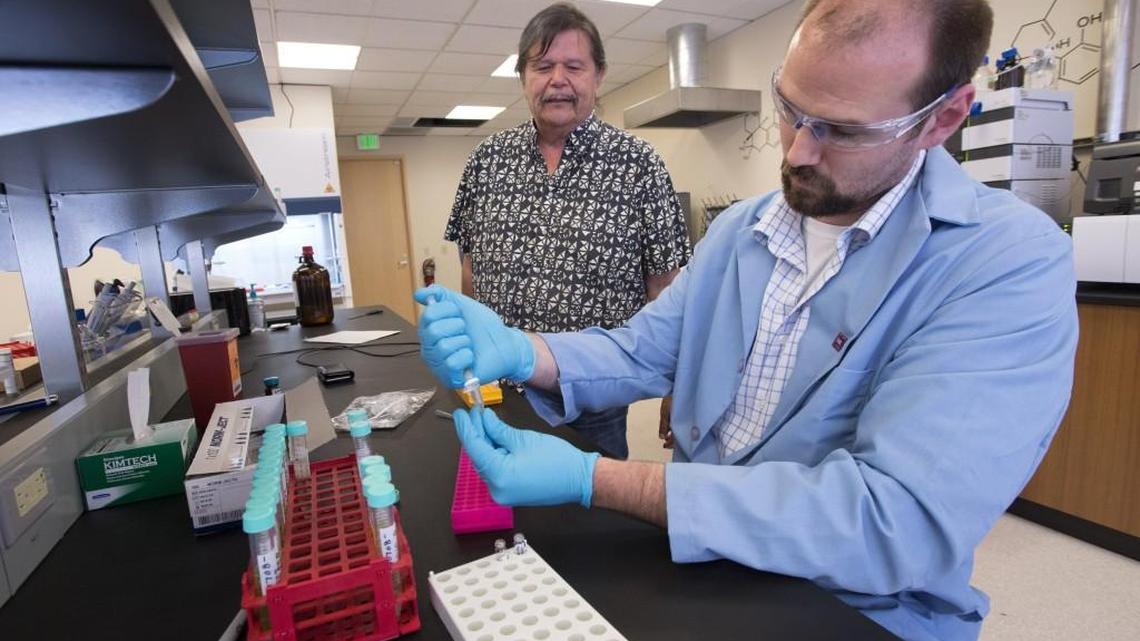 Puyallup Tribe pursuing medical marijuana grow after signing deal with state