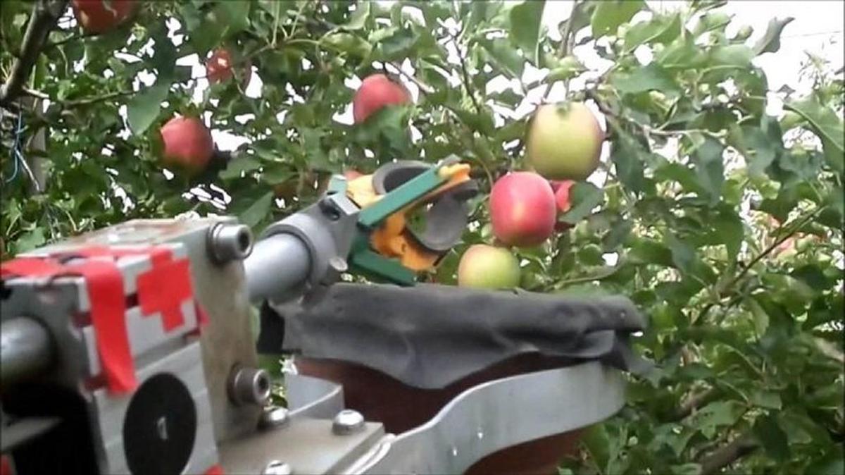 The robotic arm of an FFRobotics fruit picker targets apples. Similar machines could be in Washington fields soon for tests.