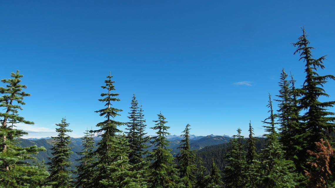 A teen boy was hoisted from a mountainside (not pictured) in Washington, police said.