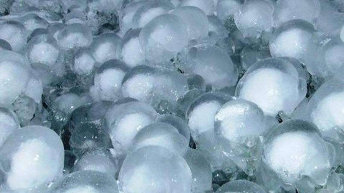 Seedlings at the Webster Forest Nursery in Olympia, Washington, are protected in layers of ice when temperatures freeze, officials said.
