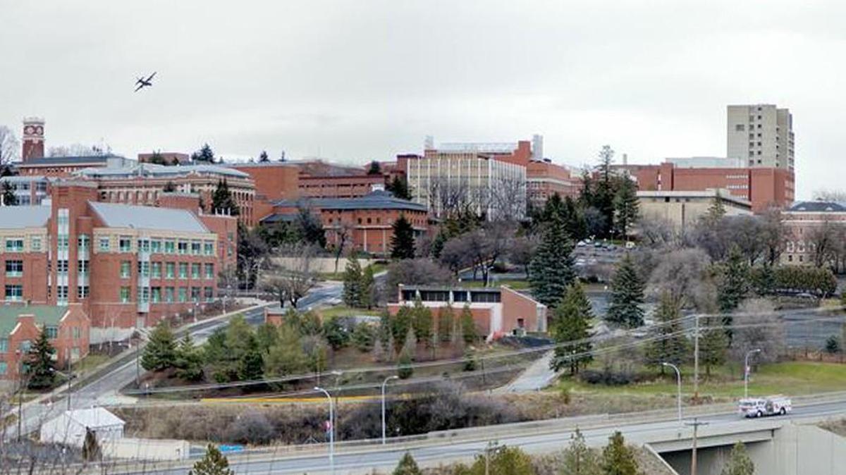 A lawsuit against Washington State University involving the euthanization of a sick dog could set a new legal precedent on the emotional value of pets.