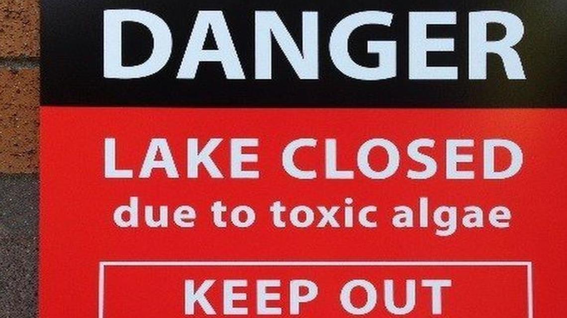 Summit Lake has been closed to fishing and swimming, and county officials are urging people to avoid contact with the water because of a toxic algae bloom.