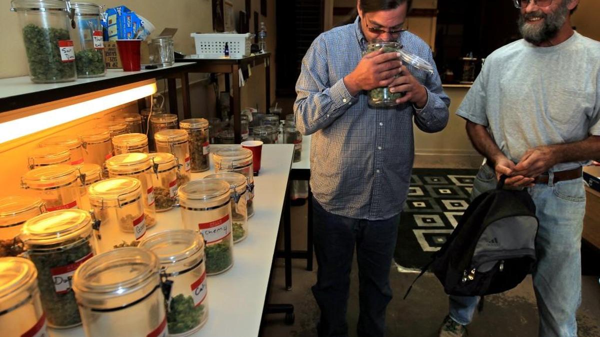 
Mike Allison of Left Coast Cannabis on South Tacoma Way smelled AK-47 marijuana grown by Skip Cadenhead of Key Peninsula in 2011. Left Coast is among the 12 marijuana businesses that successfully sought an injunction this week against the city of Tacoma’s plan to shut down unlicensed marijuana shops.
