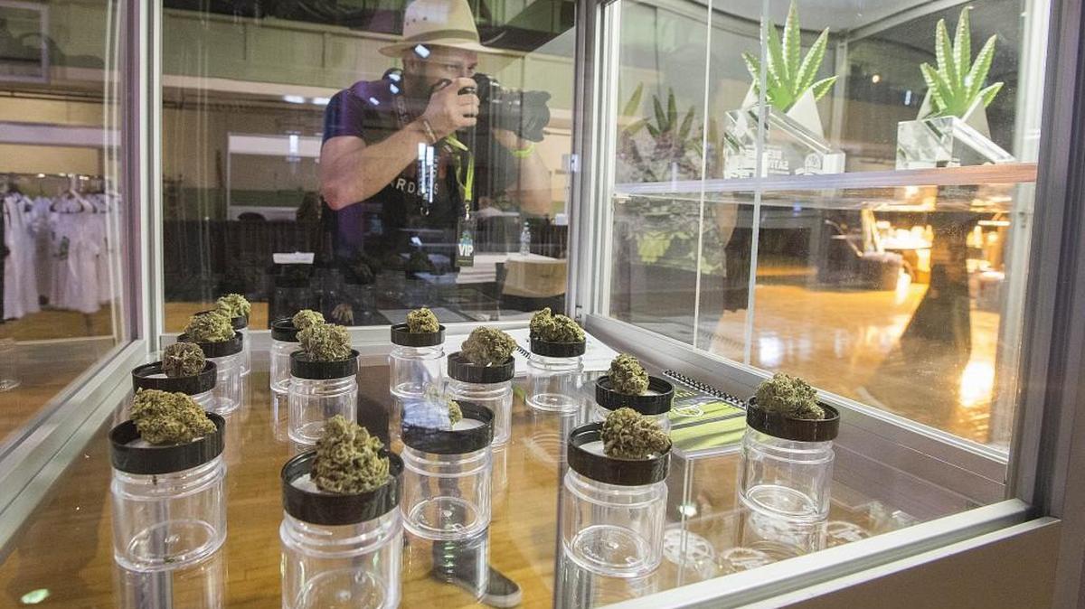 
Charles "Carlos Sativa" Alexander photographs buds of marijuana pending results of judging at the NW Cannabis Classic trade show at the Tacoma Armory on Aug. 29, 2015. 

