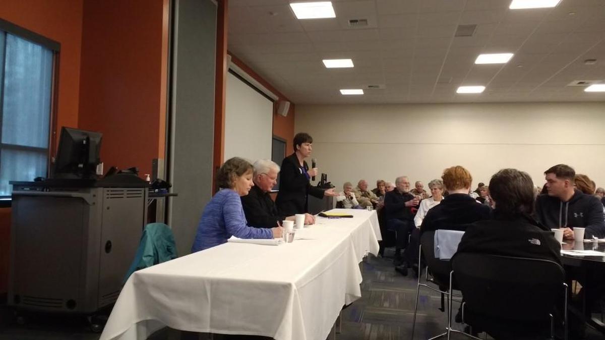 Rep. Laurie Dolan, D-Olympia, addresses Thurston County constituents at a Saturday afternoon town hall. She is joined by Rep. Beth Doglio and Sen. Sam Hunt, both Olympia democrats.