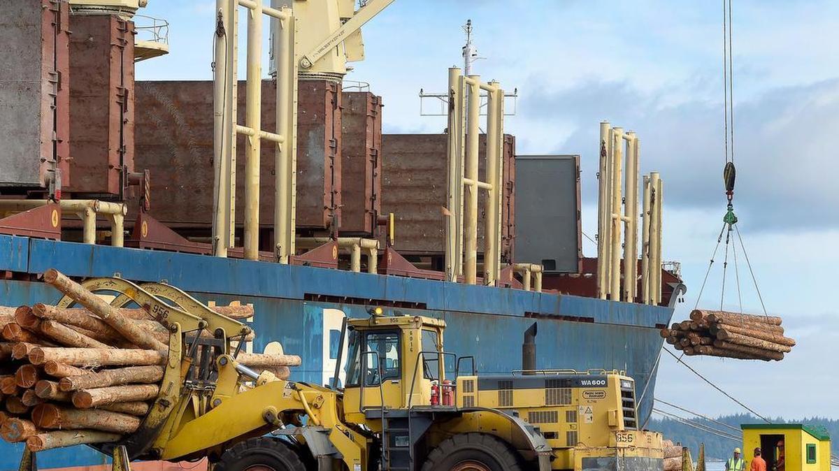 
A downturn in marine terminal revenue likely will be a campaign issue for all four who advanced in Port of Olympia races Tuesday night. Revenue at the terminal is down because of lower oil prices and a stronger U.S. dollar, which has made log exports more expensive.
