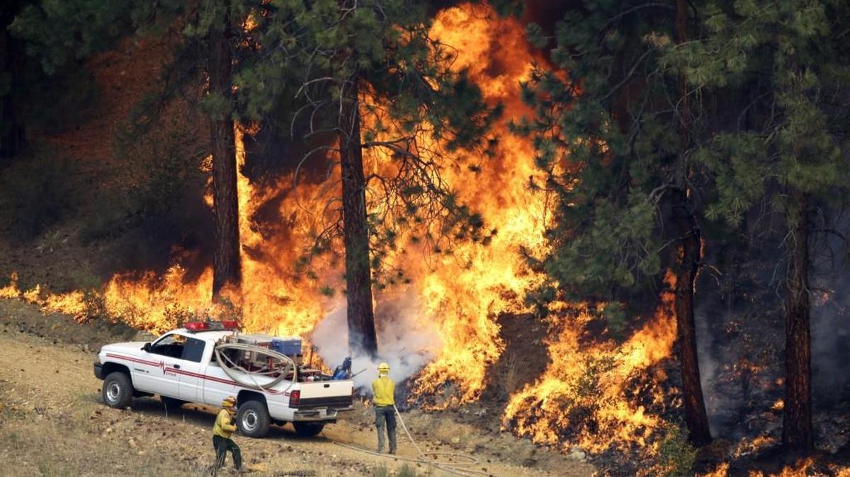 A firefighter cools a tree in a line of fire Friday, July 18, 2014, in Winthrop, Wash. A fire racing through rural north-central Washington destroyed about 100 homes, leaving behind smoldering rubble, solitary brick chimneys and burned-out automobiles as it blackened hundreds of square miles.
