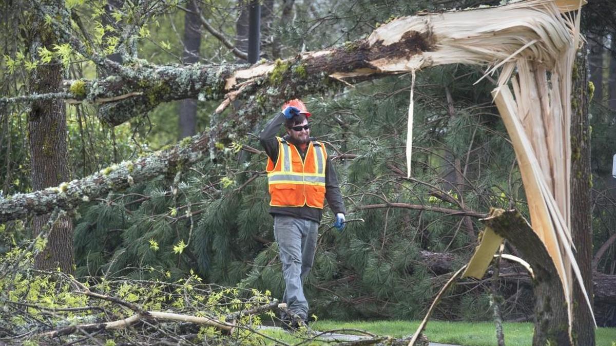 Lacey public works employee Tyler Fewkes helps clear fallen trees along Intelco Loop in Lacey.