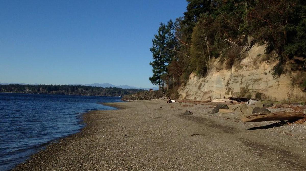 Burfoot County Park’s trail leads to 1,000 feet of shoreline on Budd Inlet.