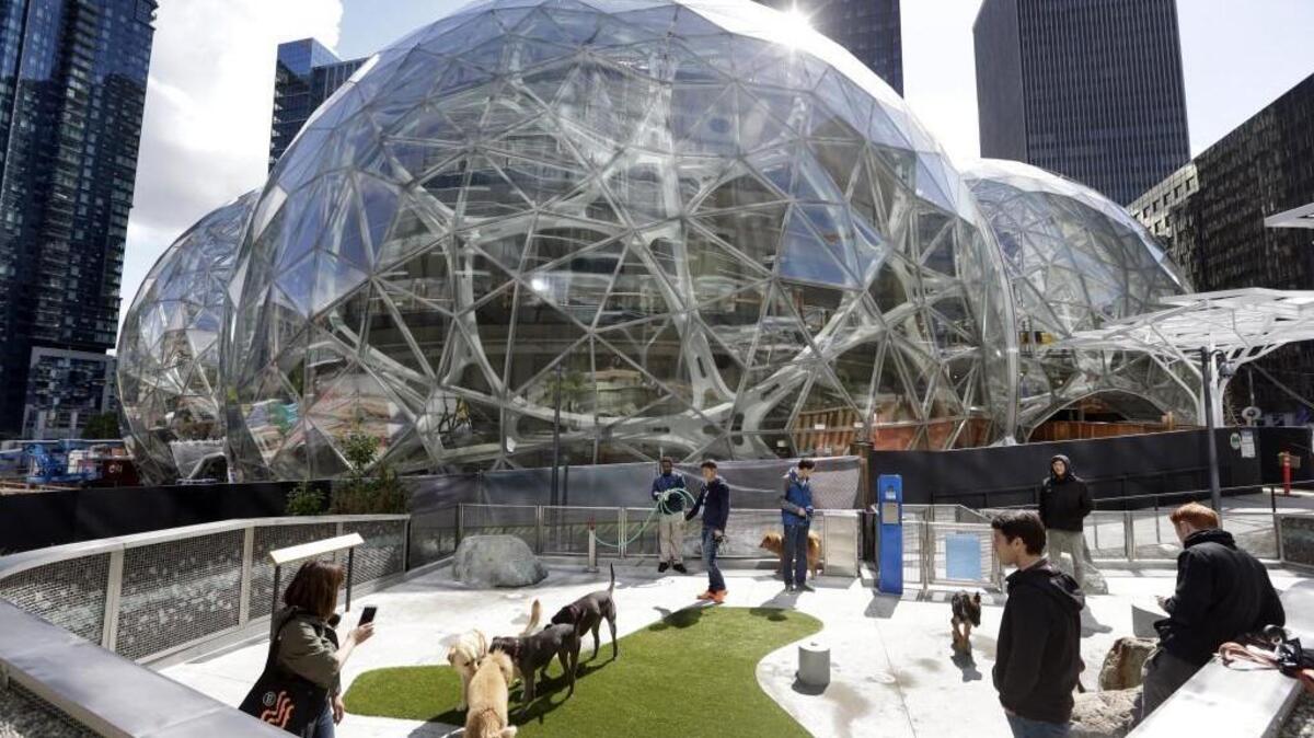 Amazon employees tend to their dogs in a canine play area adjacent to where construction continues on three large, glass-covered domes as part of an expansion of the Amazon.com campus, Thursday, April 27, 2017, in downtown Seattle. The tallest of the three interconnected spheres, called Amazon Spheres by the company, will be 90 feet high and 130 feet in diameter, and is planned to include a botanic garden of waterfalls and treehouse-like spaces overlooking tropical gardens. The structures are expected to begin being used by employees in early 2018.