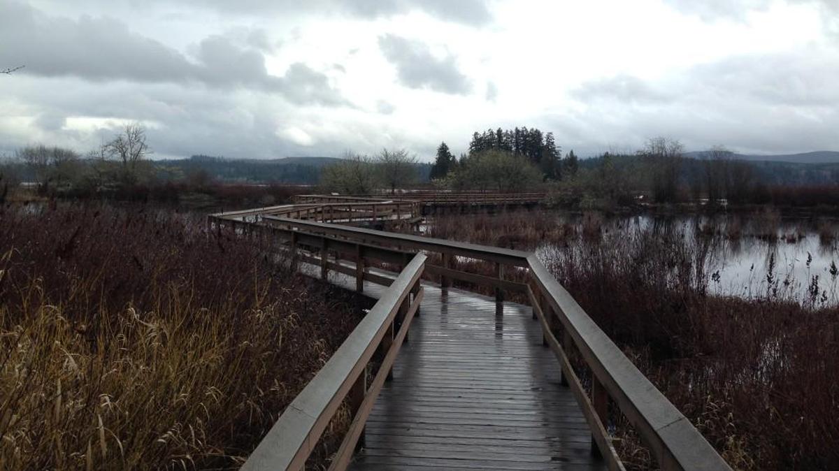A boardwalk is part of a short loop trail on Silver Lake.