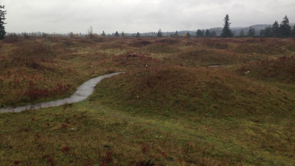 Fifty years ago Mima Mounds Natural Preserve was designated at national natural landmark.