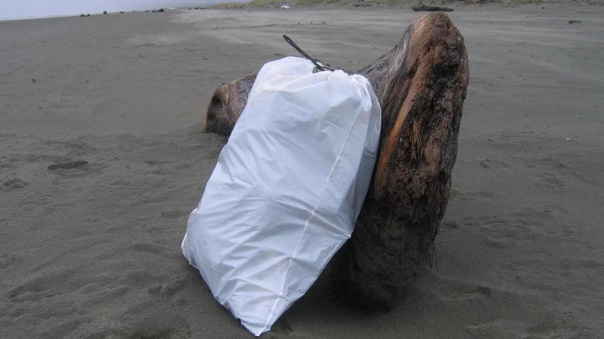 Volunteers are needed to help clean Washington beaches along the Pacific Coast and Strait of Juan de Fuca Sept. 17 during the International Coastal Cleanup.