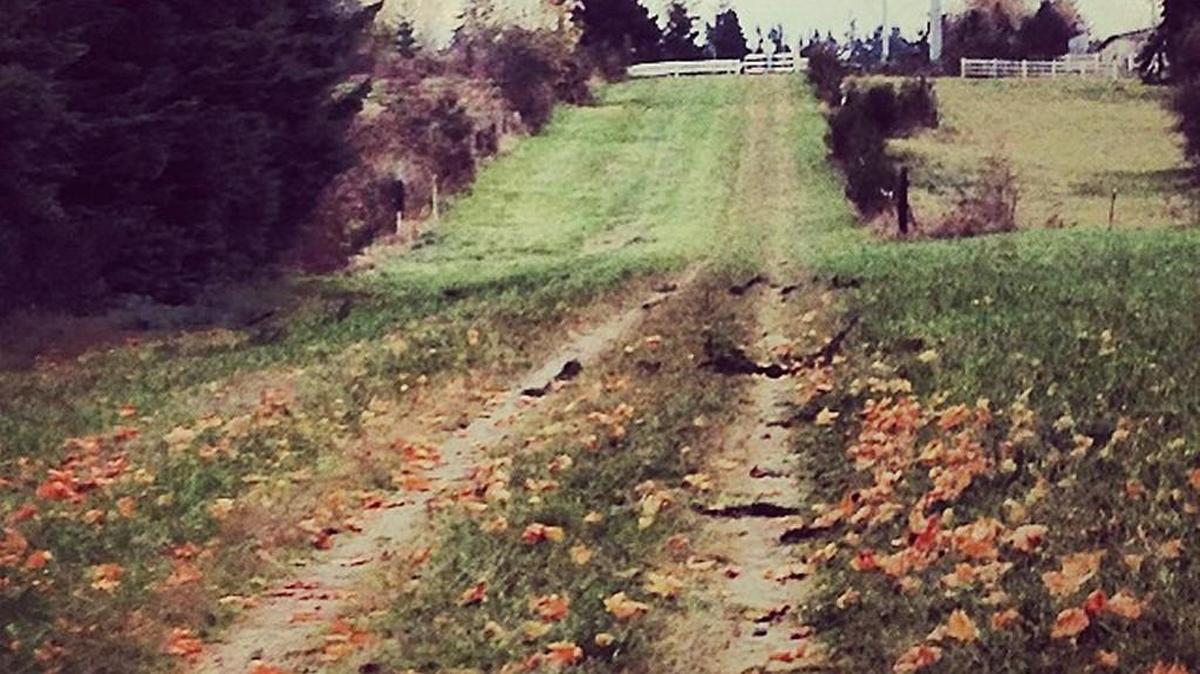 A section of the future Cross County Commuter Connector trail stretching from South Hill to Tacoma. Better known as the Pipeline Road, Pierce County would like this to one day be a trail. Cyclists and pedestrians are permitted on the path but should expect obstacles such as gates.