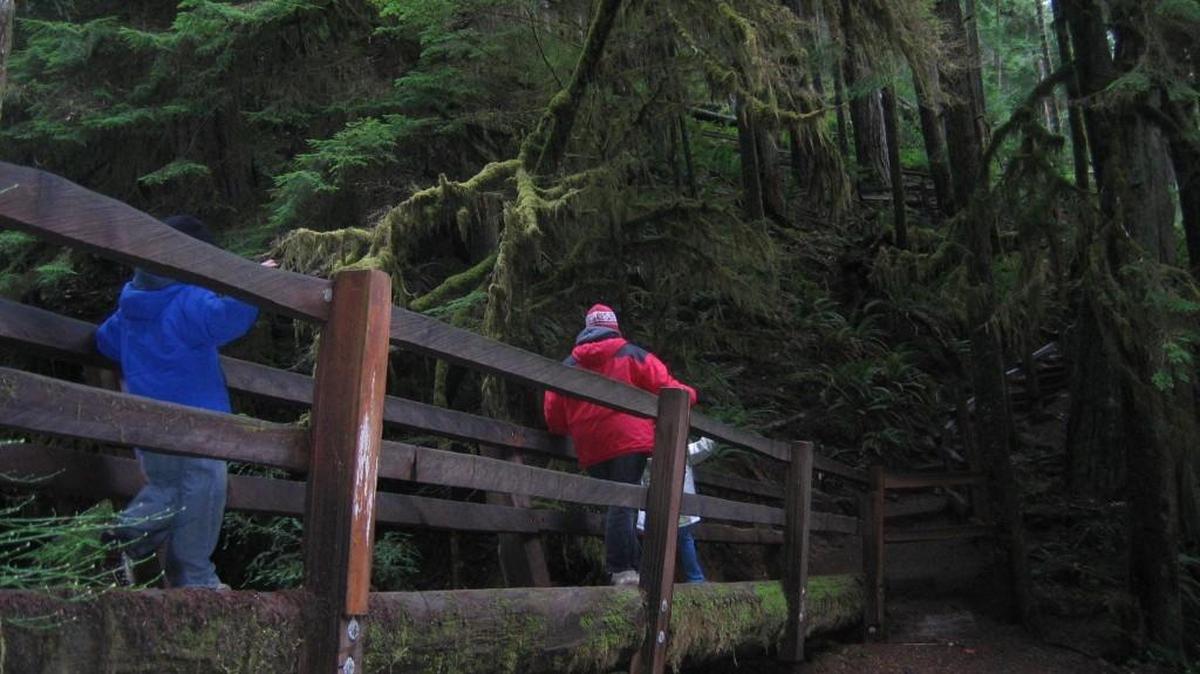 Olympic National Park is the subject of a new film that will be shown Tuesday at Peninsula College in Port Angeles.