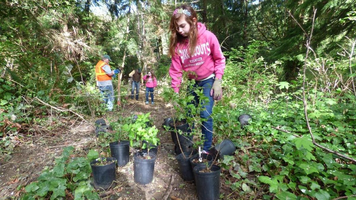 Volunteers prepare to plant during 2015 Parks Appreciation Day. This year’s event will take place Saturday.