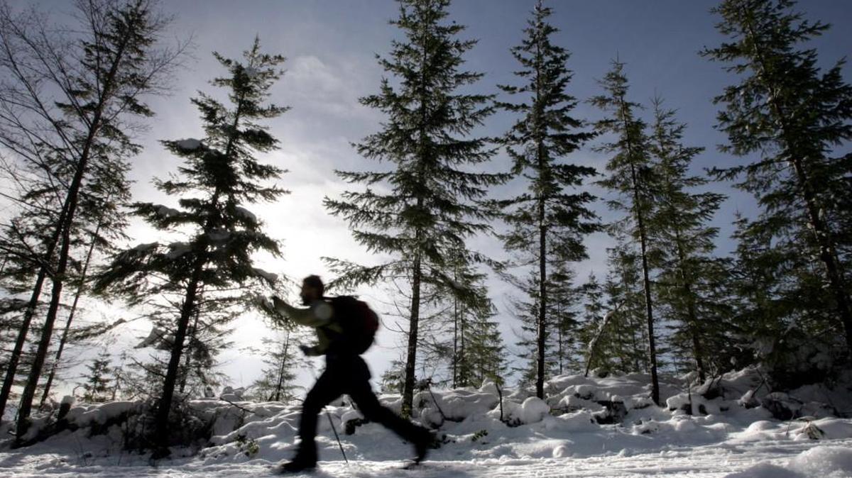 Canuche Terranella of Seattle, skis toward Copper Creek Hut on a 4.6-mile trek that is part the Mount Tahoma Ski Trail System.