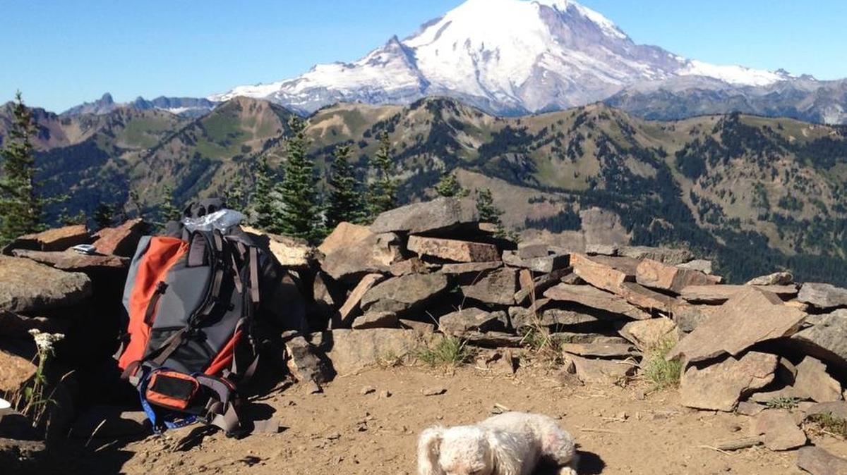 
The Norse Peak trail near Crystal Mountain is dog friendly, but not particularly easy. The view from the top includes Mount Rainier.

