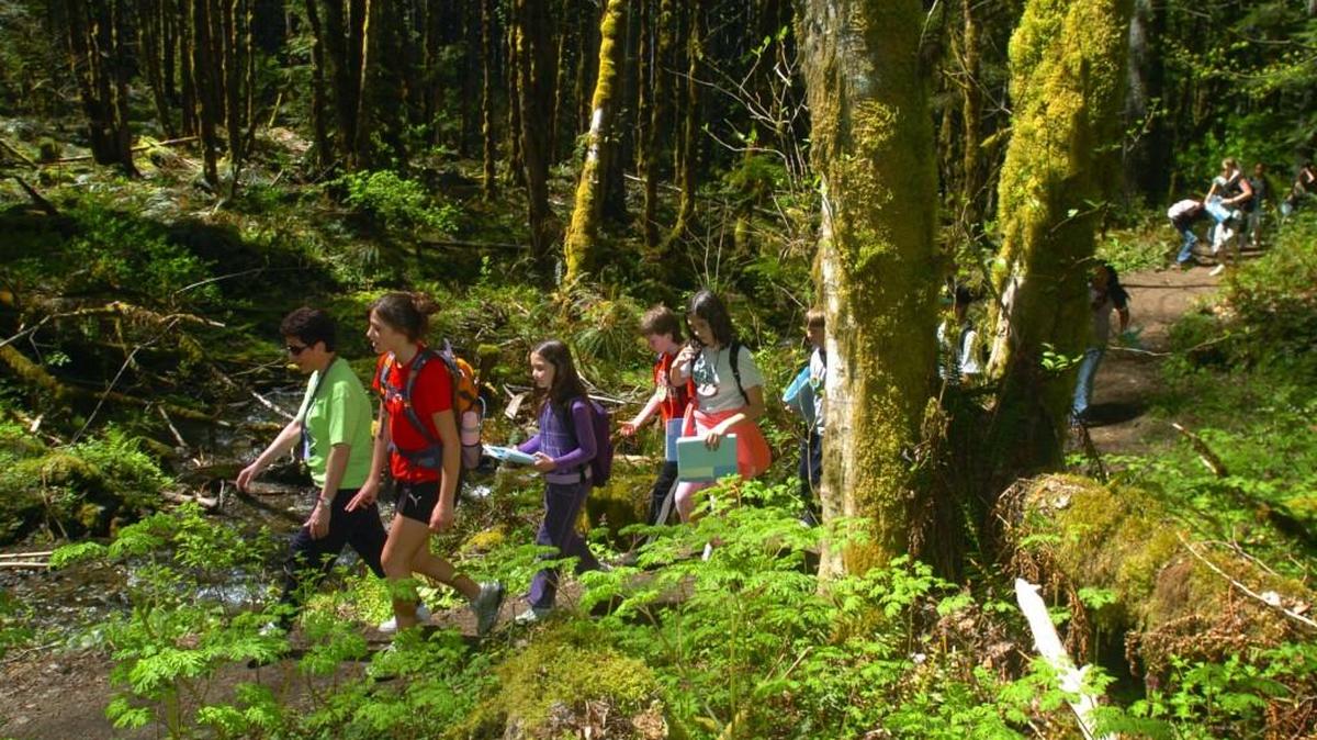 
A group of students hike through the Gifford Pinchot National Forest. The forest will be conducting visitor use surveys during the next 12 months.
