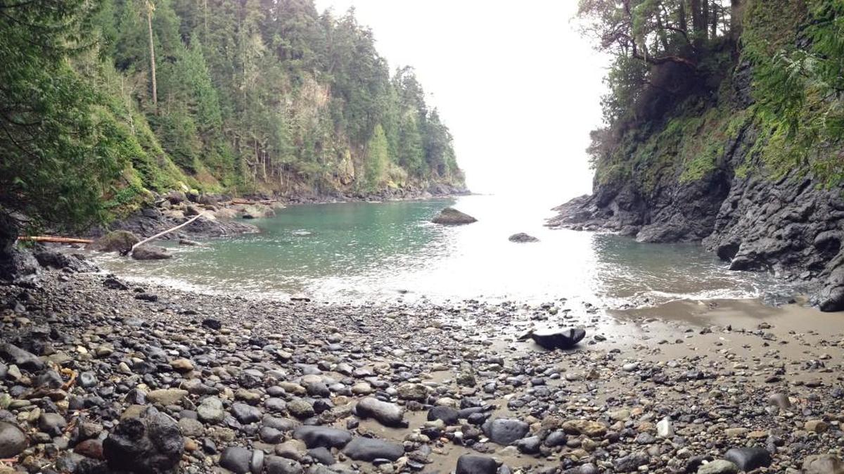 A secluded cove can be reached via a short but steep side trip along the Striped Peak trail near Port Angeles.