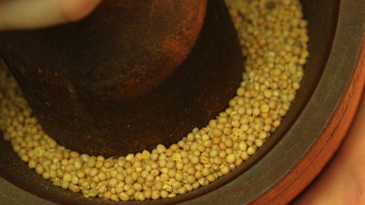 
Yellow mustard seeds in a wooden pestle are ground with a wooden mortar. Some endurance athletes say a spoonful of yellow mustard helps relieve leg cramps.

