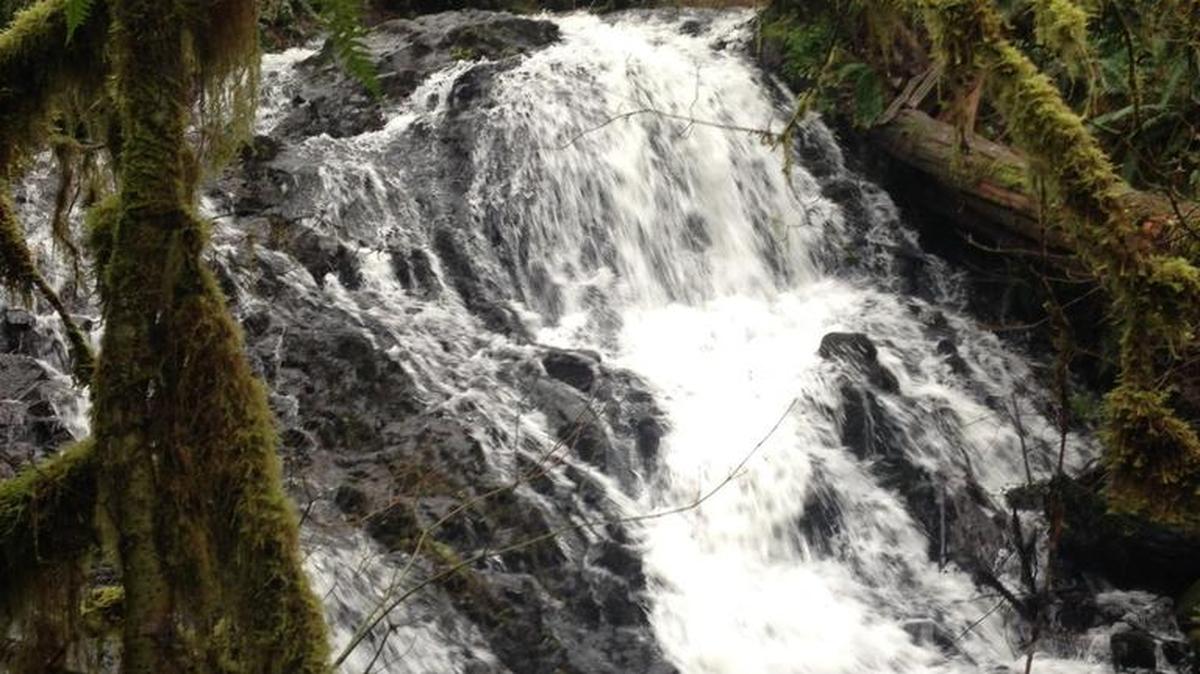 A round-trip hike to Mima Falls in Capitol State Forest can cover 6.5 miles.