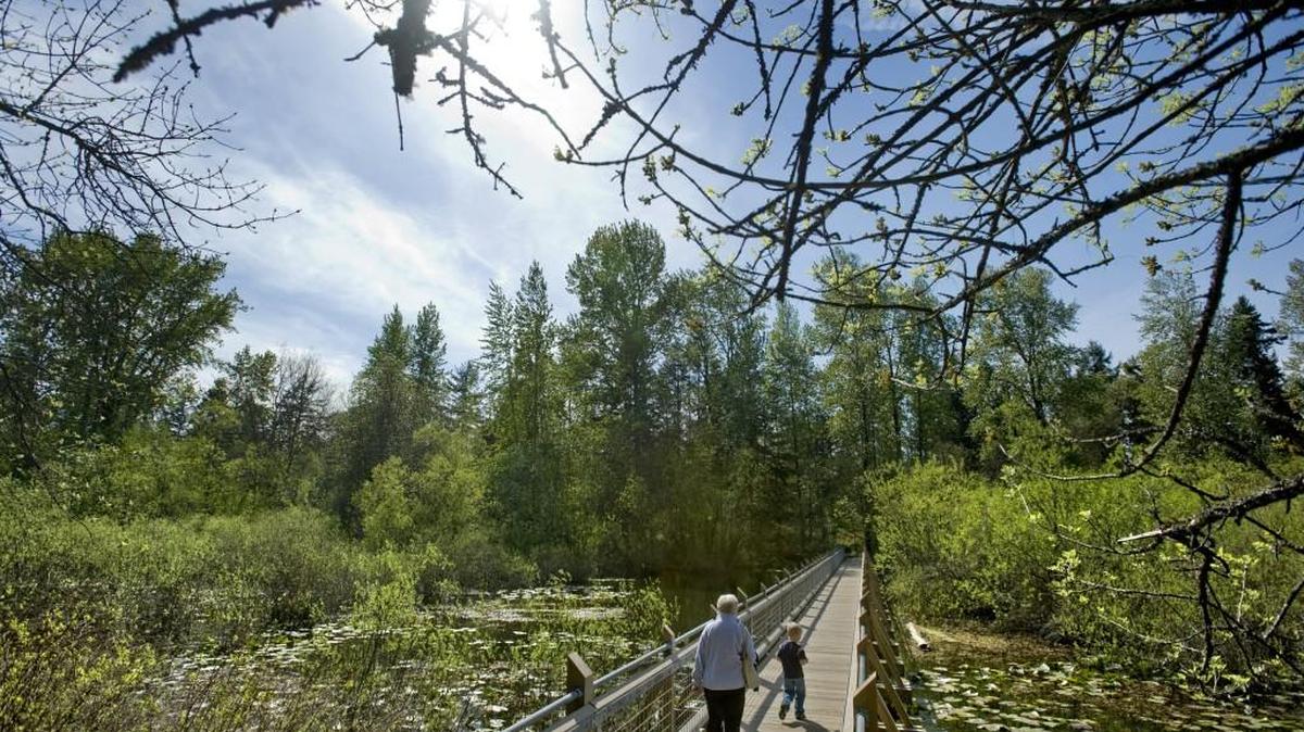 Join Saturday’s adventure quest that will take teams around Snake Lake at the Tacoma Nature Center.