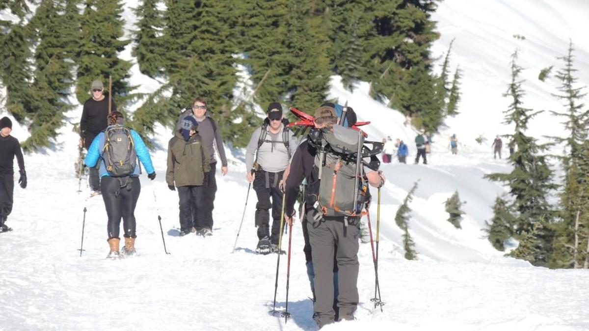 The Paradise Valley Road is a popular snowshoe walk at Mount Rainier National Park.