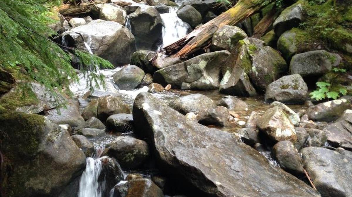 The trail visits Talapus Creek as it makes its way to Talapus Lake.