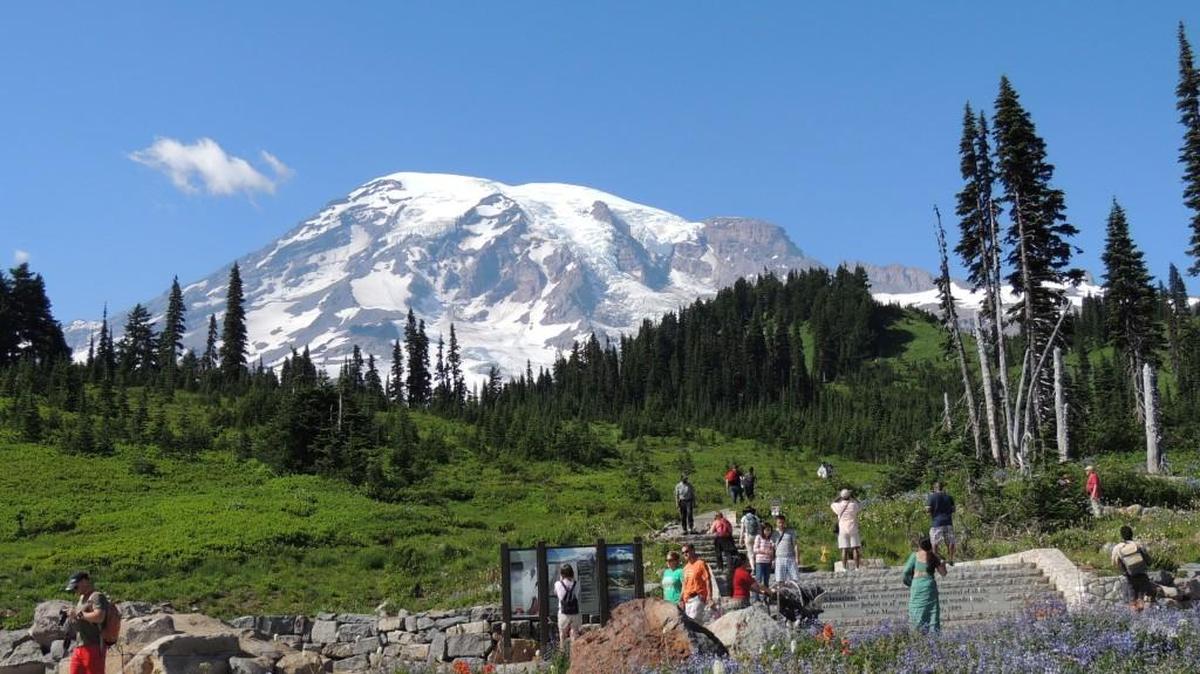 There was a 1.5 percent increase in the number of recreational visits to Mount Rainier National Park in 2015.