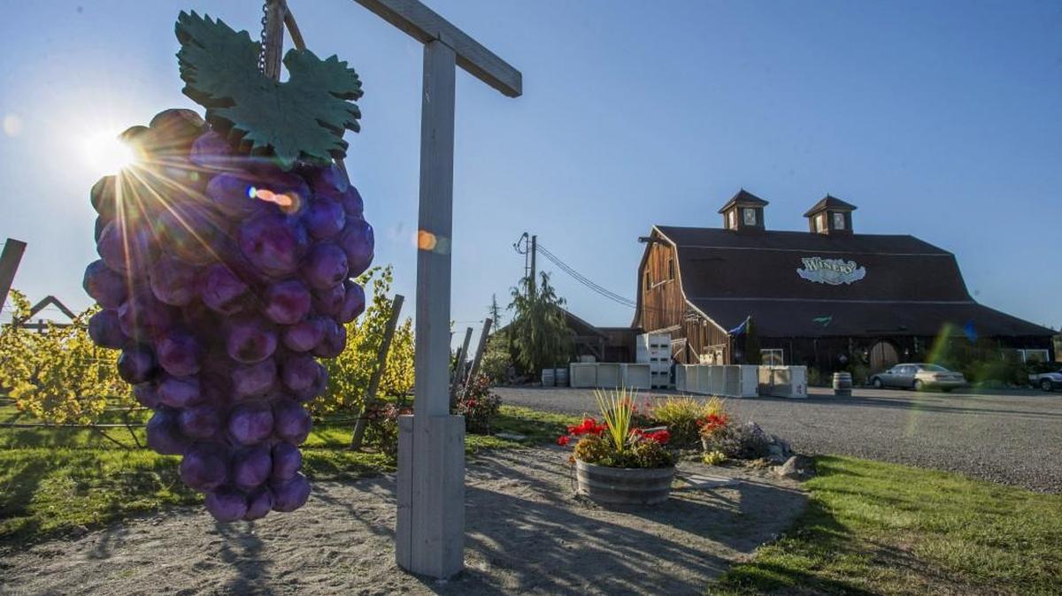 Olympic Cellars Winery will be one of nine stops on the Olympic Peninsula Wine and Cider Tour running Friday through Nov. 13.