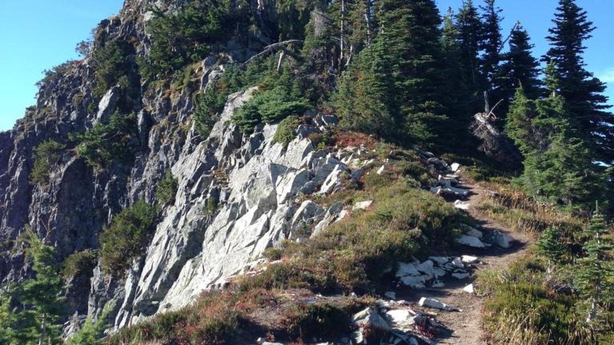 
Plummer Peak, south of Mount Rainier, is an easy scramble beyond the end of the Pinnacle Peak Trail.
