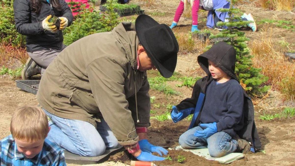 Volunteers help with a revegetation project at the former Sunrise Campground at Mount Rainier National Park during the 2015 celebration of National Trails Day.