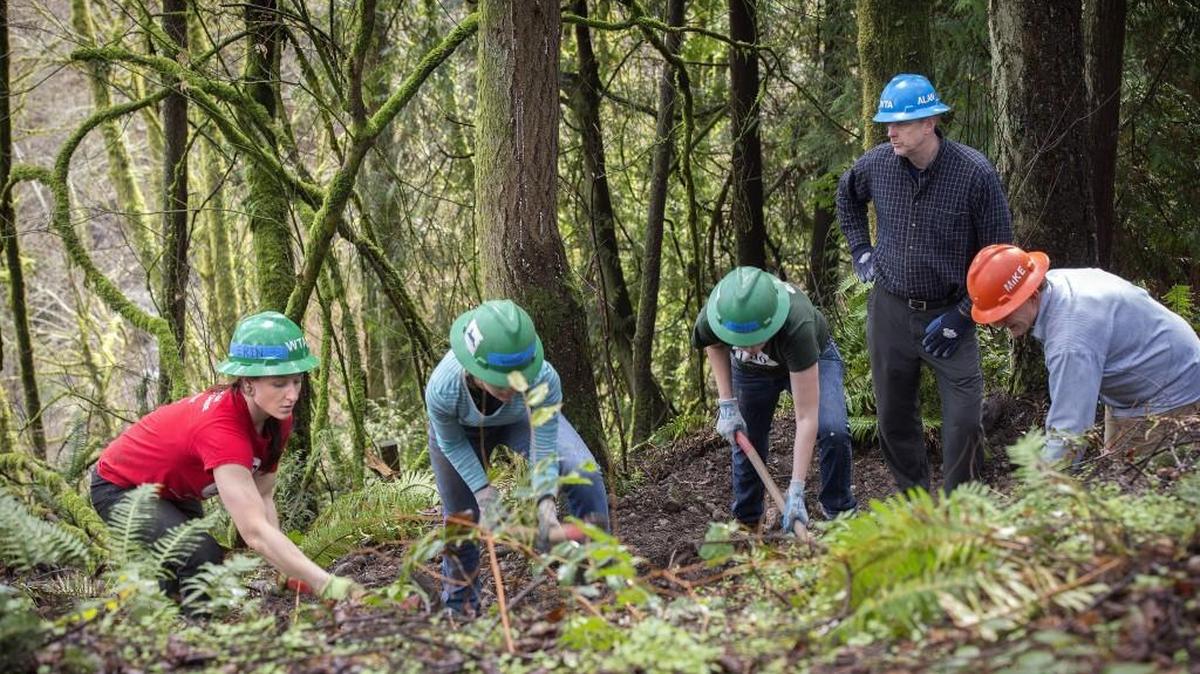 Alan Carter-Mortimer, field program manager, watches volunteers with the Washington Trails Association work on a new trail at Swan Creek in February.