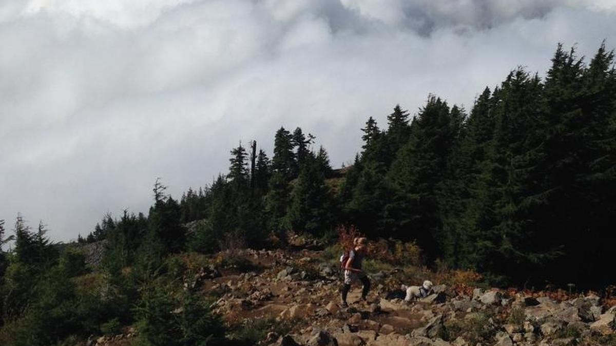 A fall morning on Mailbox Peak might mean hiking above the clouds.