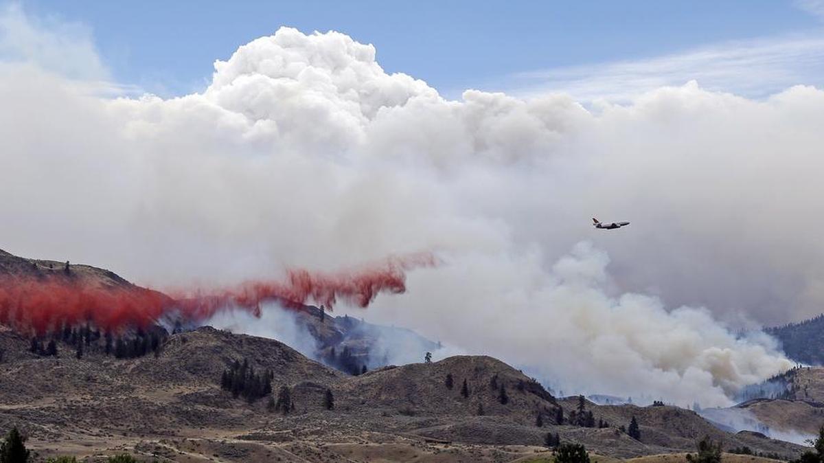 
The Carlton Complex fire burned more than 400 square miles in Central Washington last summer. The largest wildfire in state history, it kept some hunters from accessing their favorite areas. State wildlife officials are concerned hunters will face similar issues this year.
