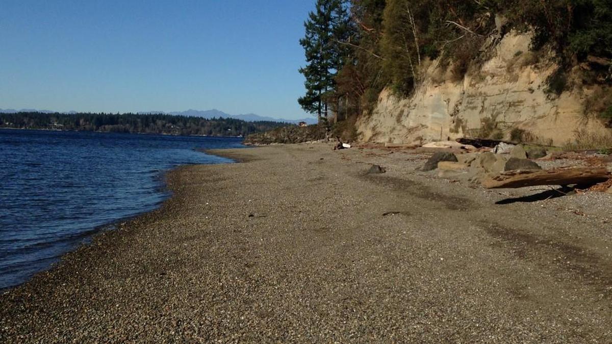 Burfoot County Park's trail leads to 1,000 feet of shoreline on Budd Inlet.