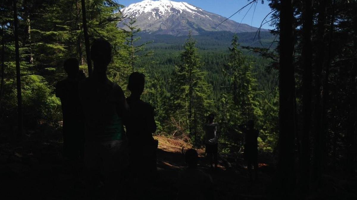 Volcano View Trail lives up to its name. It’s located near Ape Cave on the south side of Mount St. Helens.