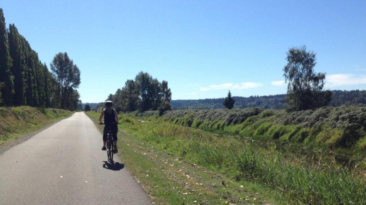 A cyclist makes her way south on the Sammamish River Trail, a 10.5-mile multi-use trail that stretches from Redmond to Bothell.