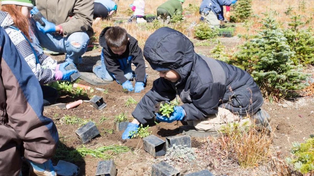 Volunteers of all ages help plant native vegetation at a site near Sunrise at Mount Rainier National Park during the 2015 National Public Lands Day. This year’s celebration is Sept. 24.