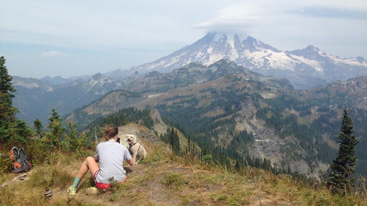 After hiking to the top of Tatoosh Peak, Largent the dog poses while Kenzie Hill takes his picture.