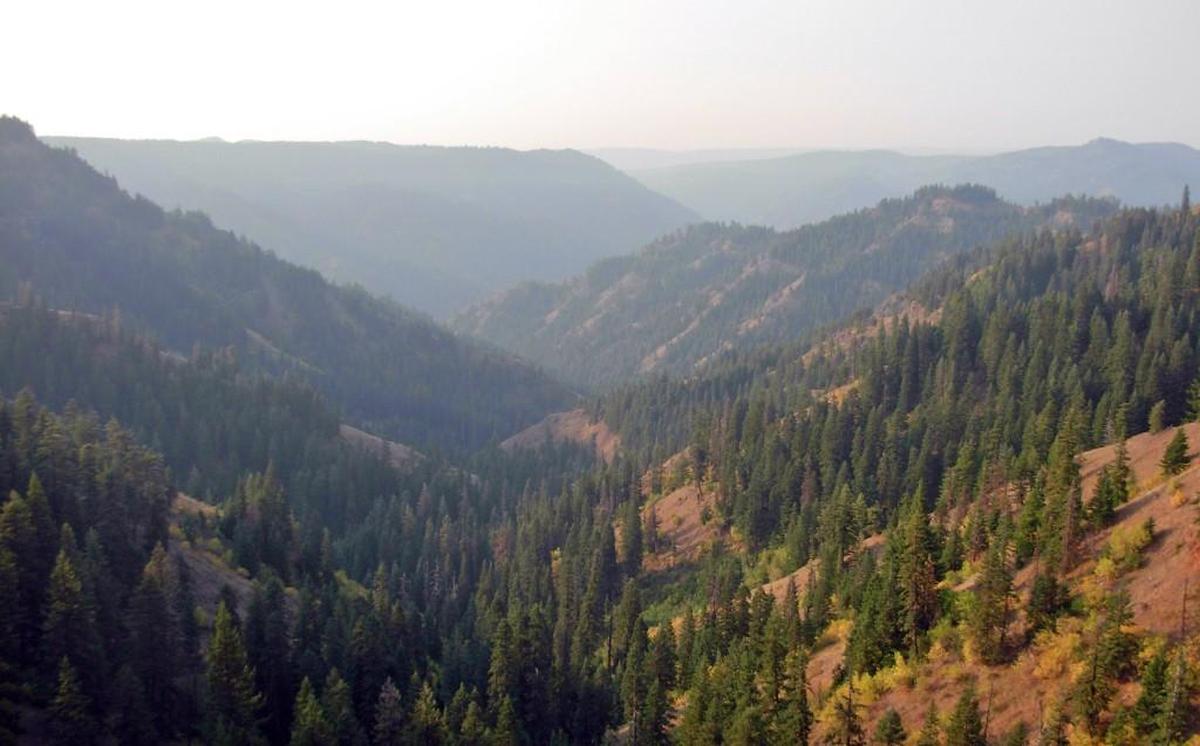 From the Tepee trailhead in the Blue Mountains you can look down the Butte Creek drainage all the way to Oregon.