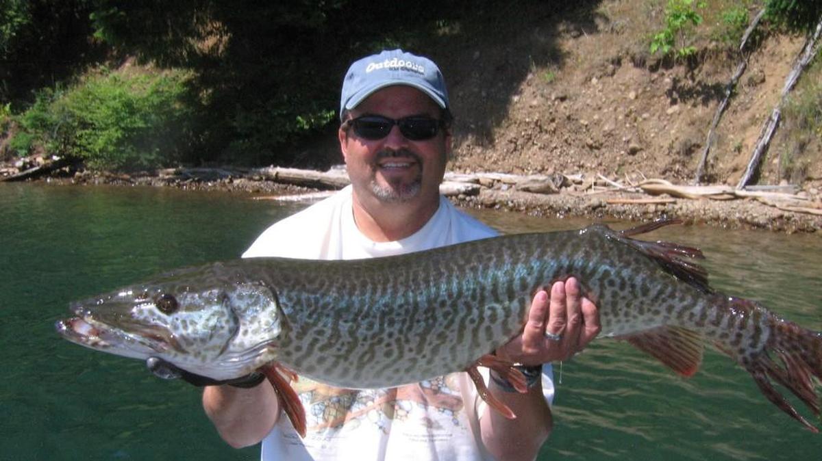 Get tips on fishing for tiger muskies at Thursday’s meeting of the Puget Sound Anglers South Sound Chapter.