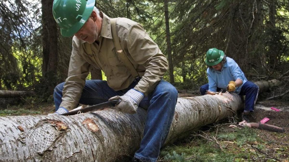 This undated photo shows volunteers stripping a downed log of its bark to prepare it for use in a trail structure in the North Cascades in Washington.