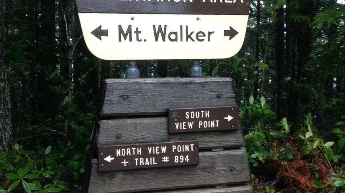 Mount Walker in Olympic National Forest has two viewpoints, both worth visiting.