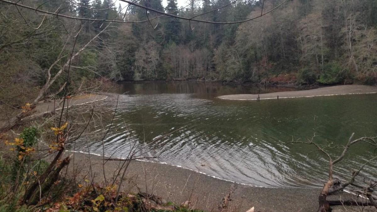 Ellis Cove is in Olympia’s Priest Point Park.
