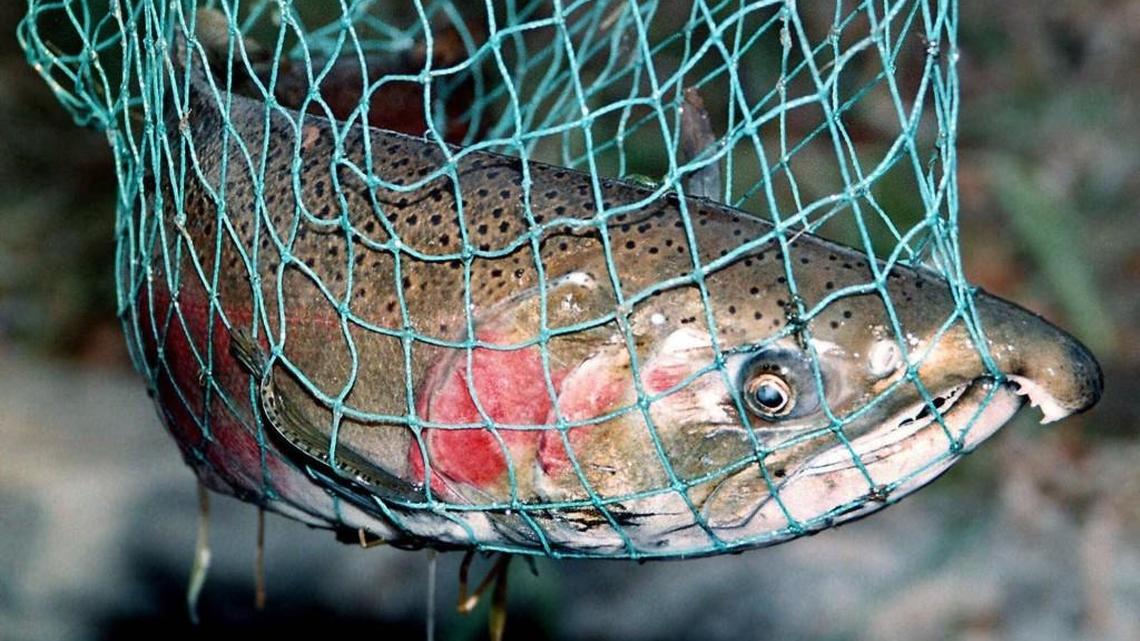 Fishing report for Dec. 4