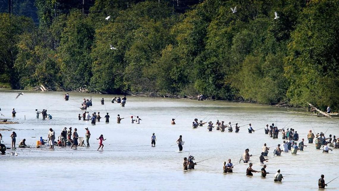 Deal allows Puget Sound salmon fishing to proceed