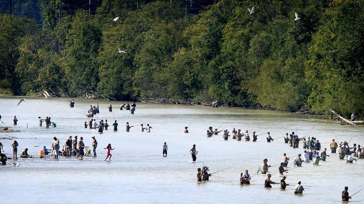 A deal has been reached that will allow the state to open fishing in Puget Sound and waters that feed into it, but will keep recreational fishing in the Puyallup River closed.
